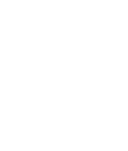 ton-icon