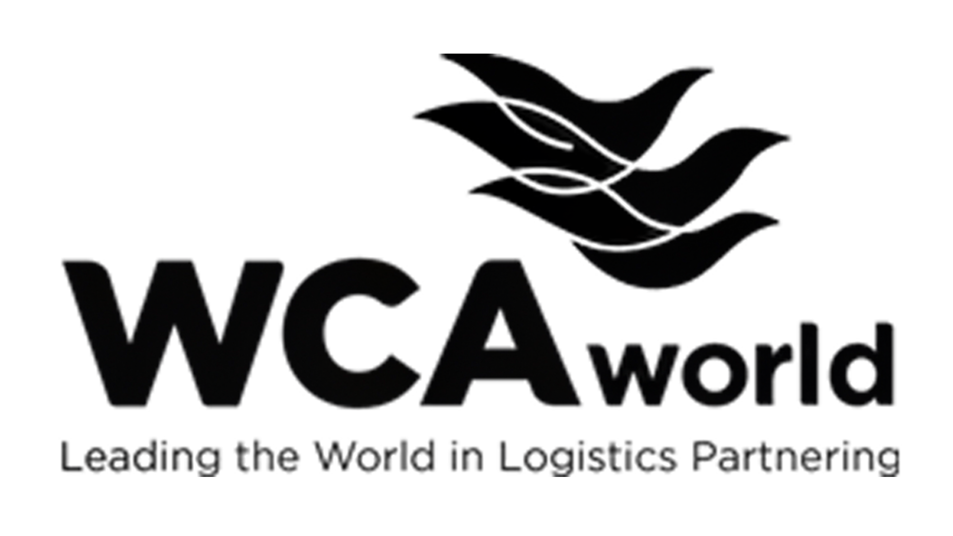 Wca world
